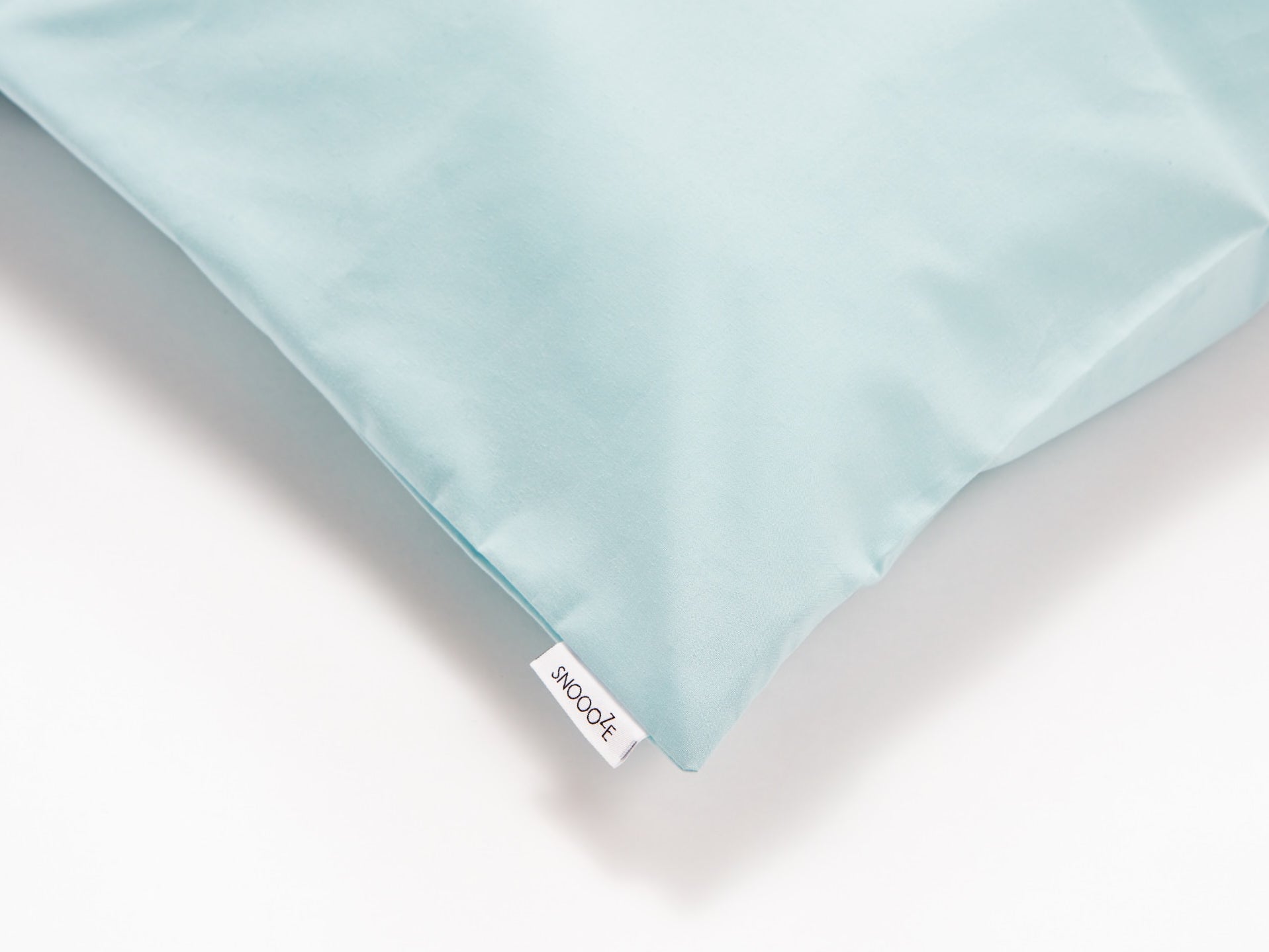 Duck egg hotsell blue pillow cases